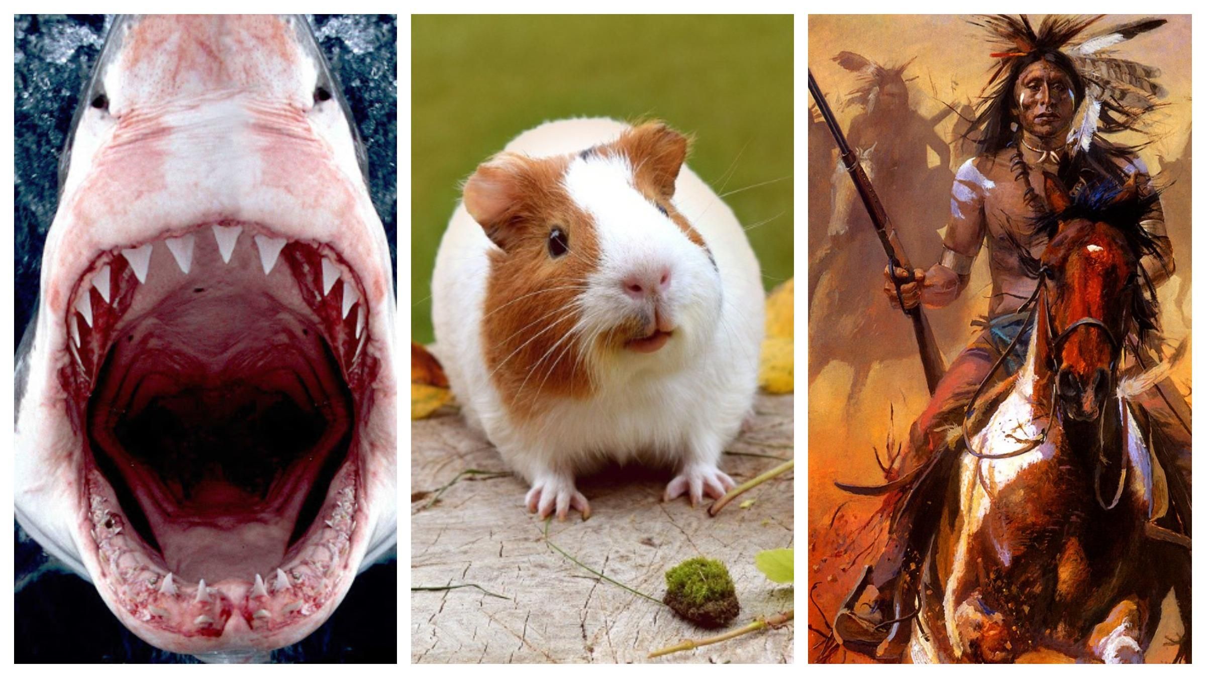 9 цікавинок, які люди використовували як гроші 9 цікавинок, які люди використовували як гроші