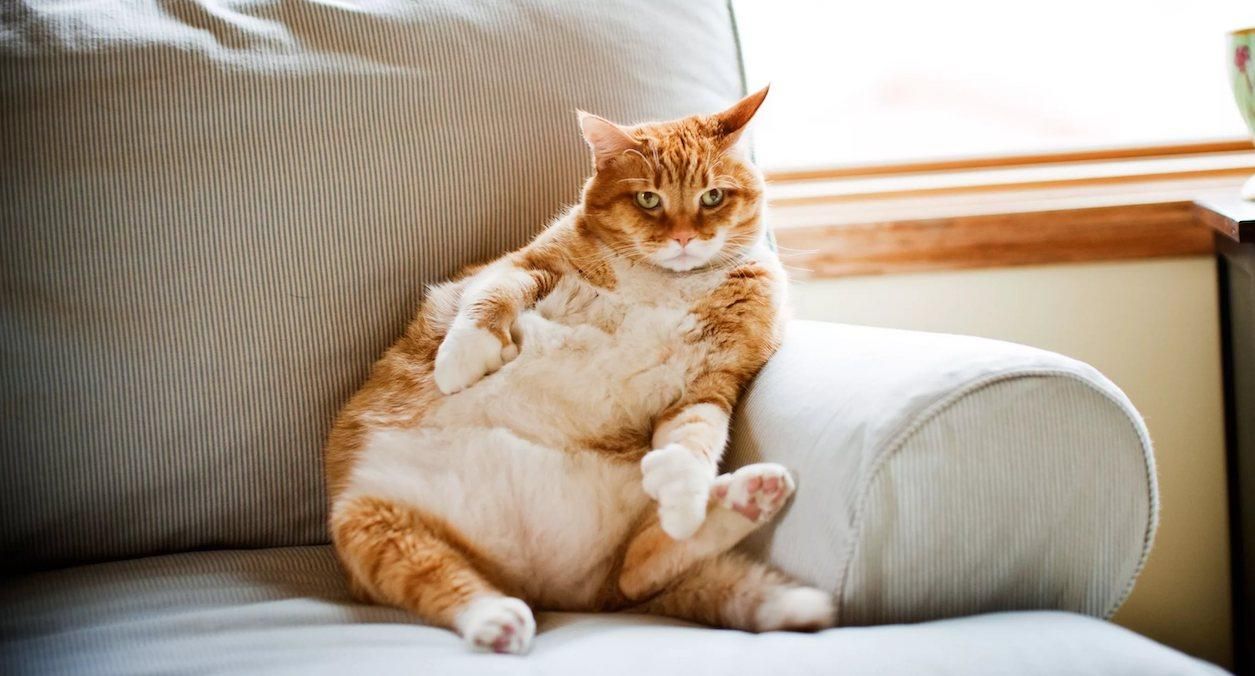 5 вредных привычек, которые незаметно вкрадываются в жизнь каждого 5 вредных привычек, которые незаметно вкрадываются в жизнь каждого