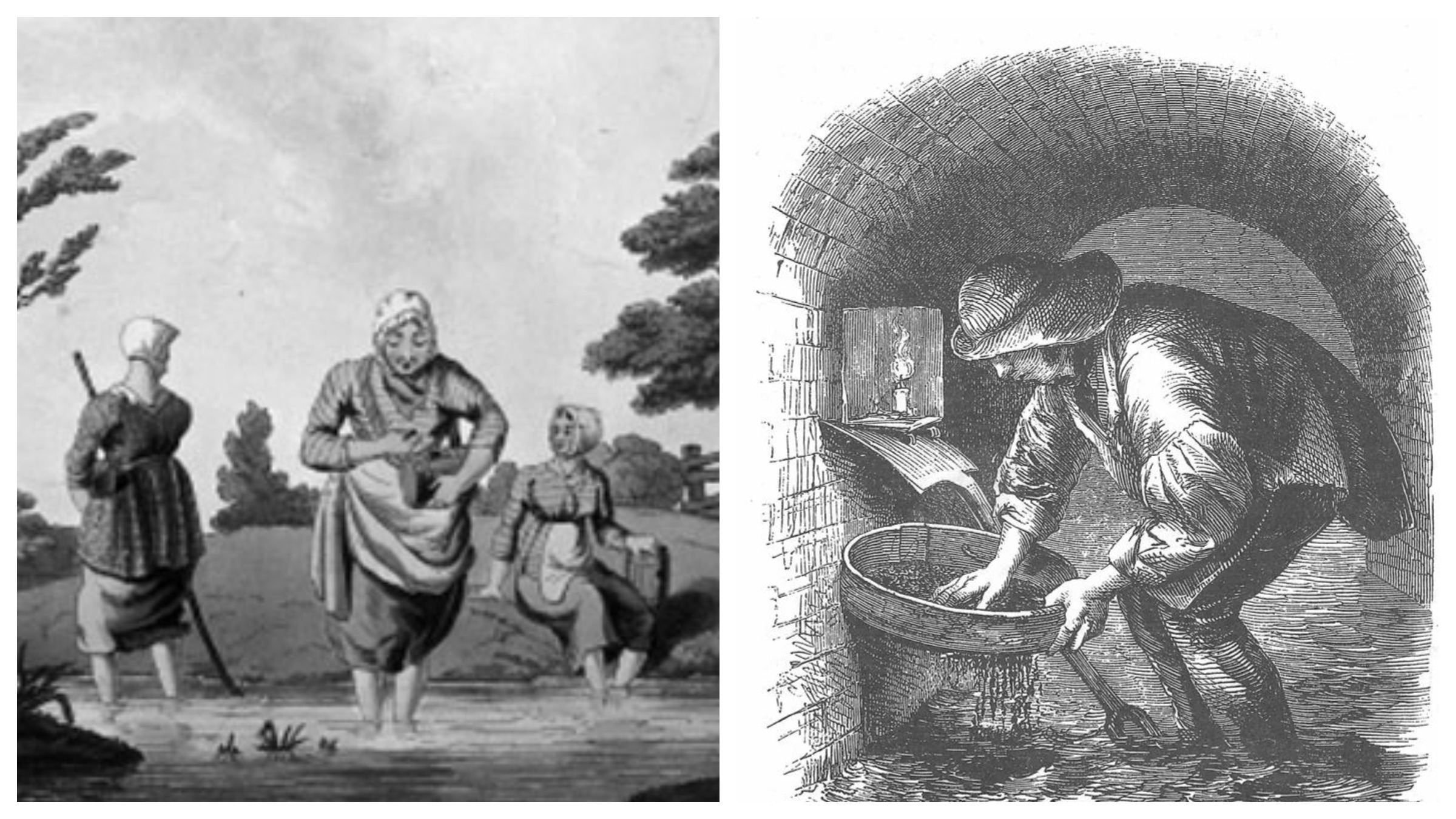 Зборщик пиявок и заготовитель кала: отвратительные профессии XIX века
