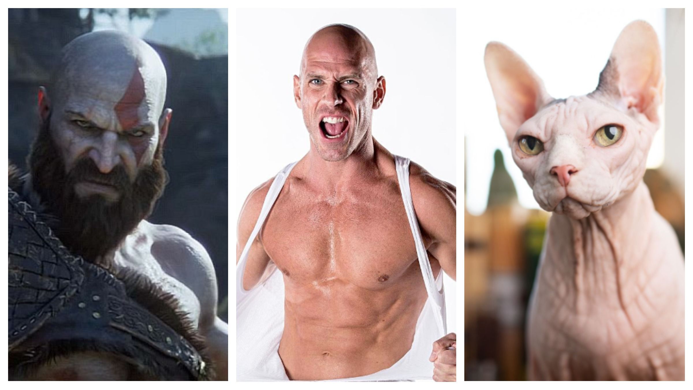 Втрата волосся – це не втрата стержня: 10 знаменитостей, які це довели Втрата волосся – це не втрата стержня: 10 знаменитостей, які це довели