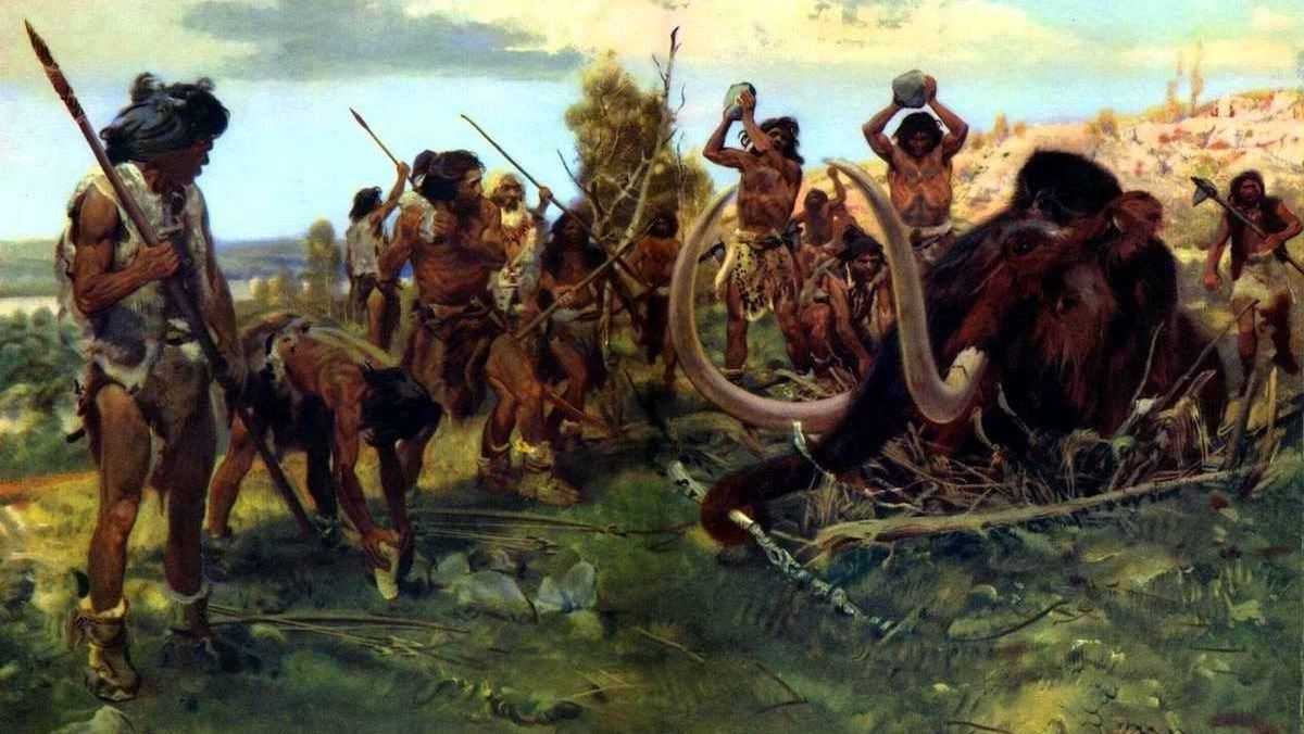 Чому ми любимо сир із пліснявою: первісні звички сучасної людини Чому ми любимо сир із пліснявою: первісні звички сучасної людини