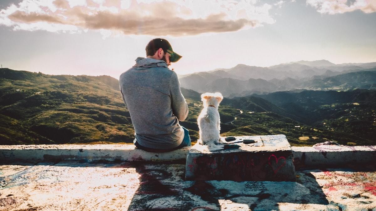 Что сказал бы Фрейд: почему большие мужчины любят маленьких собачек Что сказал бы Фрейд: почему большие мужчины любят маленьких собачек