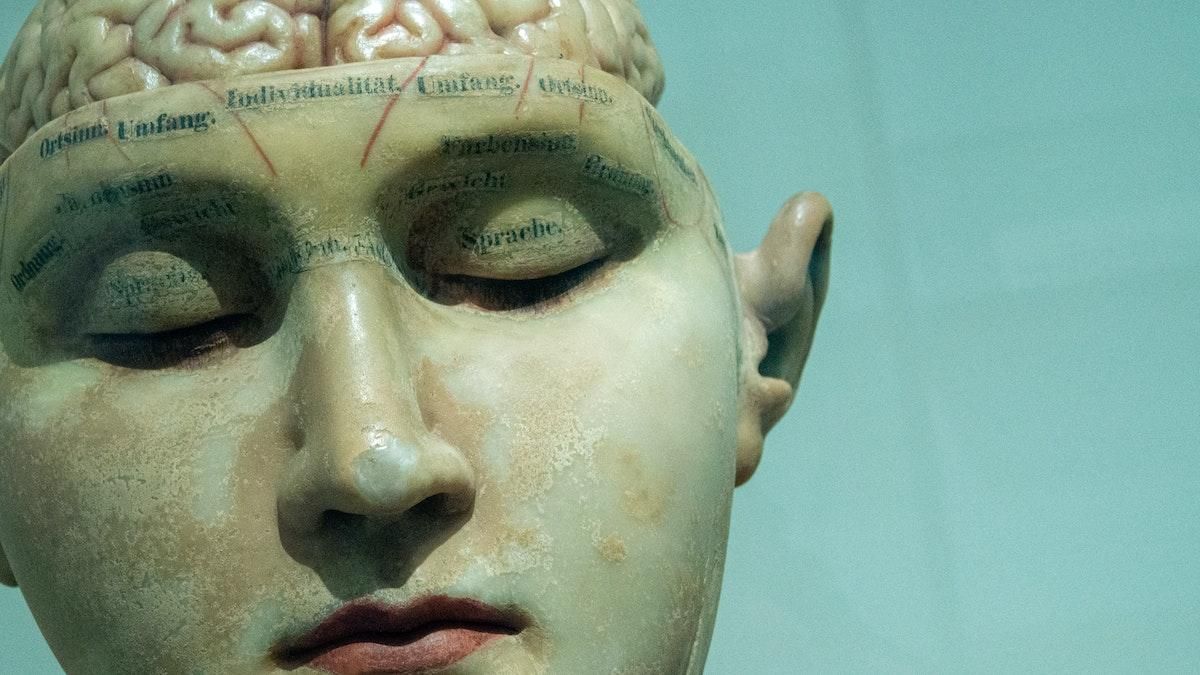 10 процентов мозга и 5 чувств: развенчиваем мифы о человеческом теле