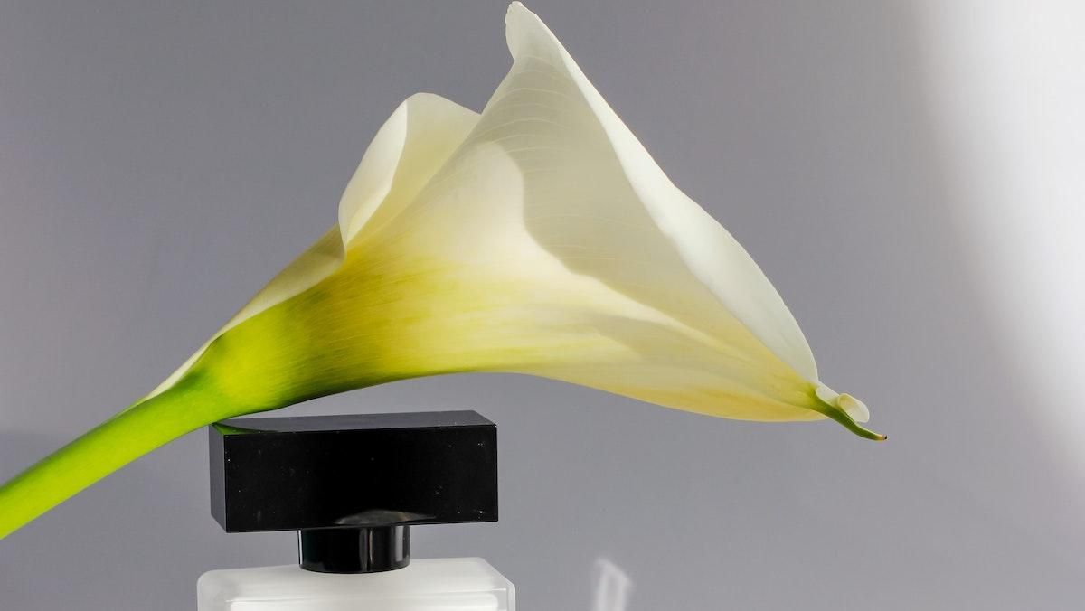 Какие духи подойдут мужчине в разных случаях жизни Какие духи подойдут мужчине в разных случаях жизни