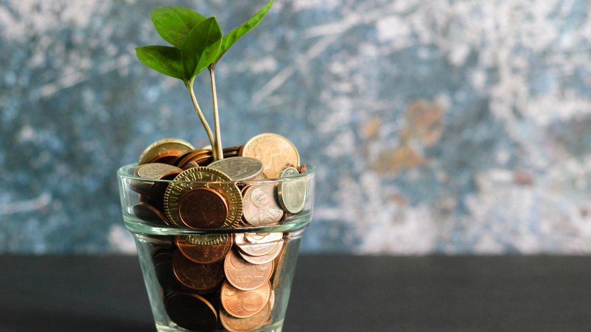 Как научиться экономить деньги: эксперты дали важный совет