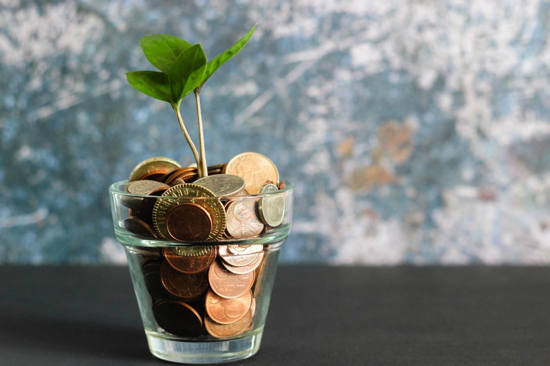 Как научиться экономить деньги: эксперты дали важный совет