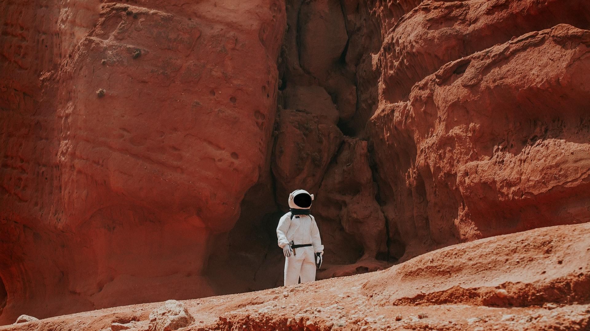 Увидеть Марс воочию: NASA запустил крутой интерактивный сервис - Men