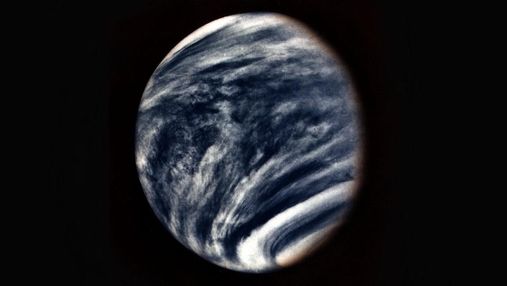 На Венері можливий фотосинтез: чому вчені так вважають і чим це важливо