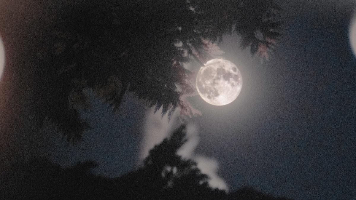 У Земли на самом деле есть две Луны, но – еще всего лишь на 300 лет - Men У Земли на самом деле есть две Луны, но – еще всего лишь на 300 лет - Men