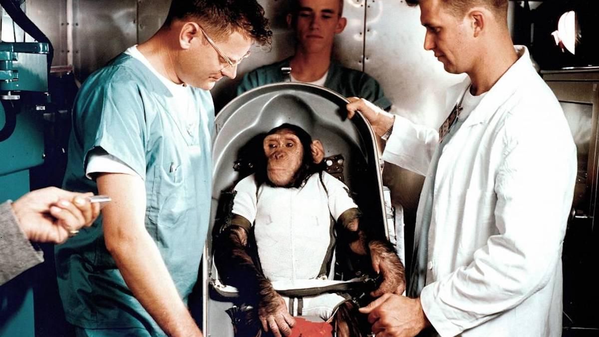 Крім людей: які живі істоти Землі побували у космосі та які країни їх відправляли - Men Крім людей: які живі істоти Землі побували у космосі та які країни їх відправляли - Men