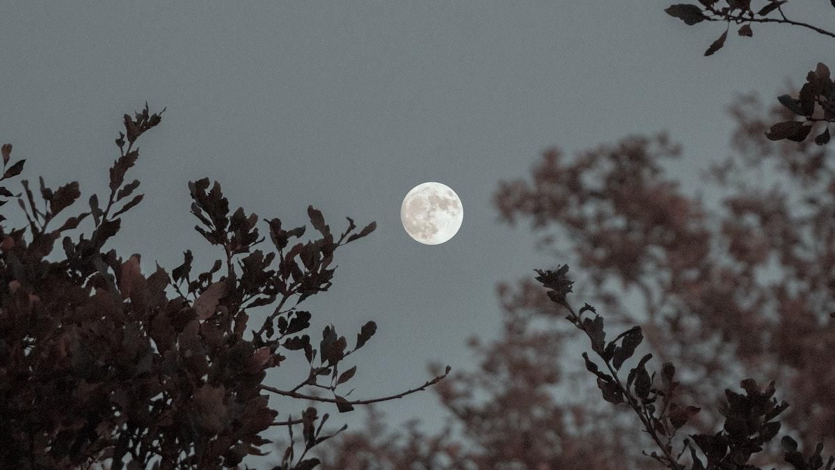 Китайські вчені виявили воду у ґрунті з Місяця: що це означає - Men Китайські вчені виявили воду у ґрунті з Місяця: що це означає - Men