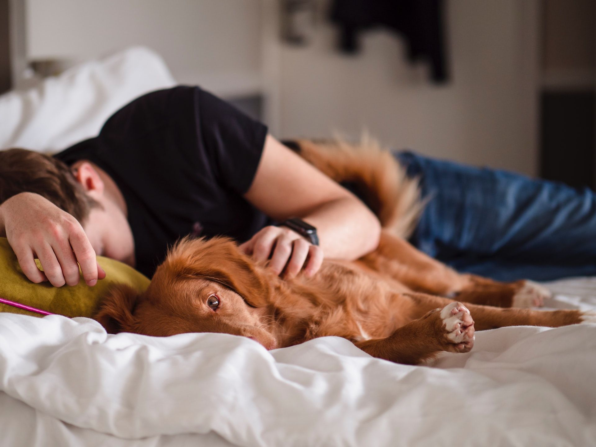 Як перевірити, чи достатньо добре ти спиш - простий тест для кожного чоловіка