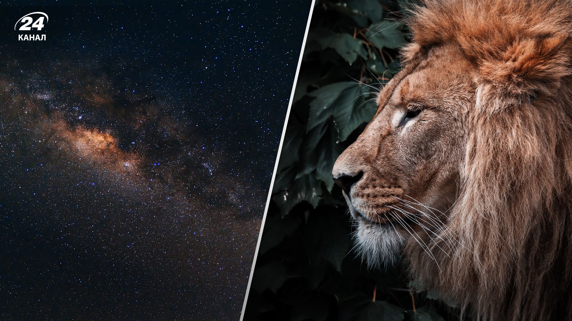 Гороскоп для чоловіків на тиждень 10 – 16 жовтня 2022 року - Men Гороскоп для чоловіків на тиждень 10 – 16 жовтня 2022 року - Men