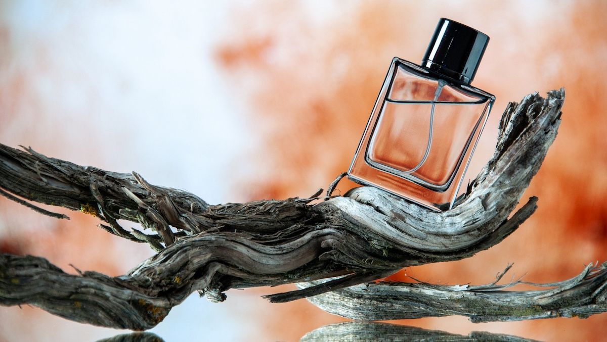 Дізнайся про найкращі парфуми для чоловіків в історії та сьогодні - Men