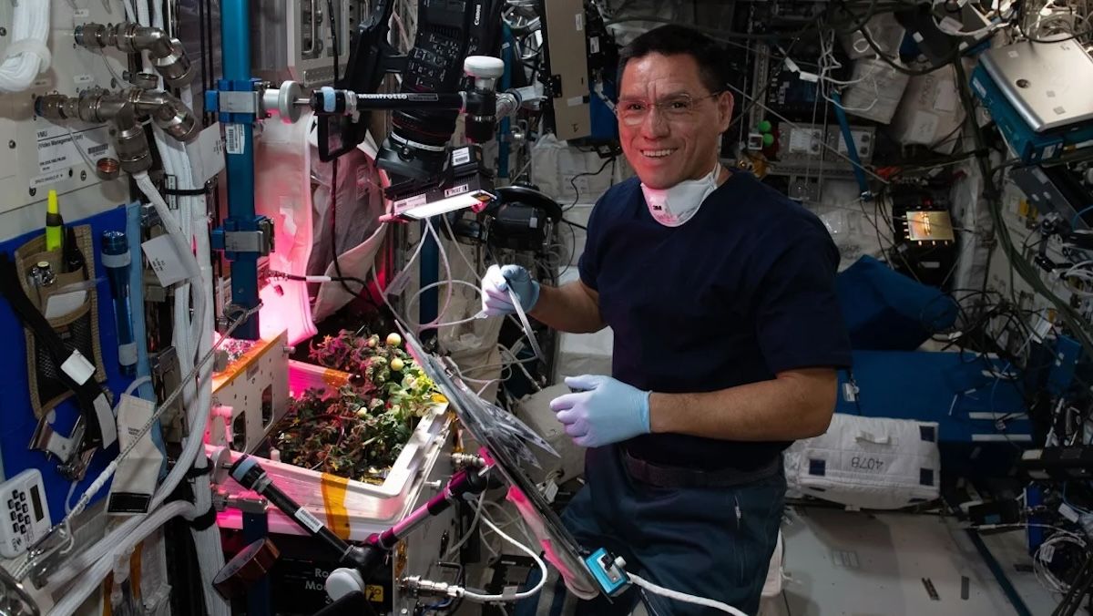 Астронавты нашли потерянный помидор в космосе - Фрэнка Рубио из NASA наконец-то оправдали - Men