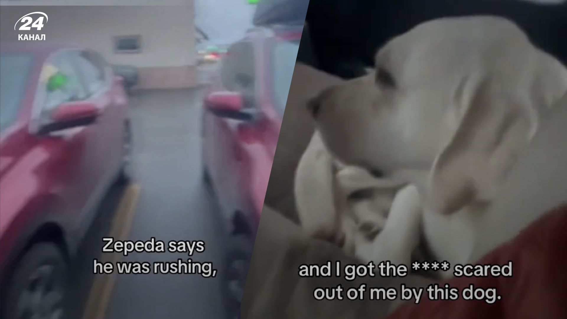 Чоловік сплутав машини, що призвело до кумедної ситуації - відео - Men Чоловік сплутав машини, що призвело до кумедної ситуації - відео - Men